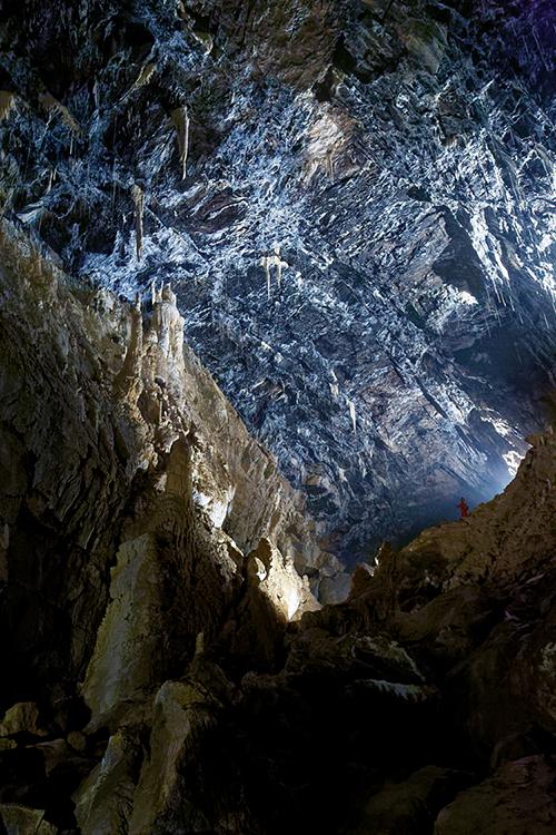 Sortie photo accompagnee Sortie photo accompagnee