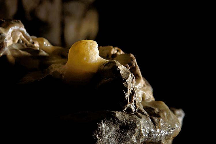 Sortie photo grottes