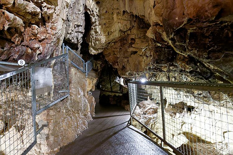 sortie photo accompagnee sortie photo accompagnee